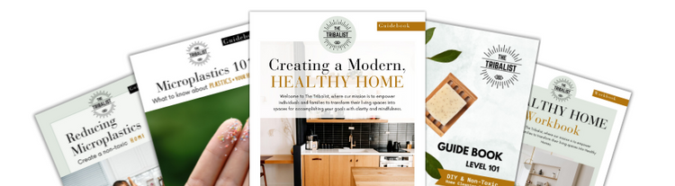 Level 1: DIY Healthy Home Starter Kit