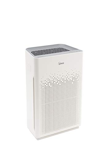 HEPA Air Purifier for Small Rooms – WINIX 5520 (Wi-Fi, True HEPA)
