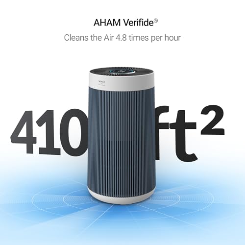 HEPA Air Purifier for Large Rooms – WINIX T830 (360, Wi-Fi)