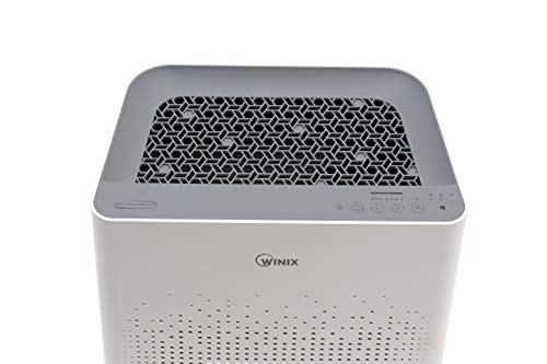 HEPA Air Purifier for Small Rooms – WINIX 5520 (Wi-Fi, True HEPA)