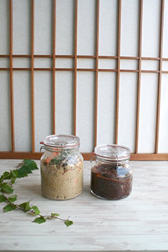 Airtight Glass Lock-Eat Storage Jar, 2 L, Italian-Made – Luigi Bormioli