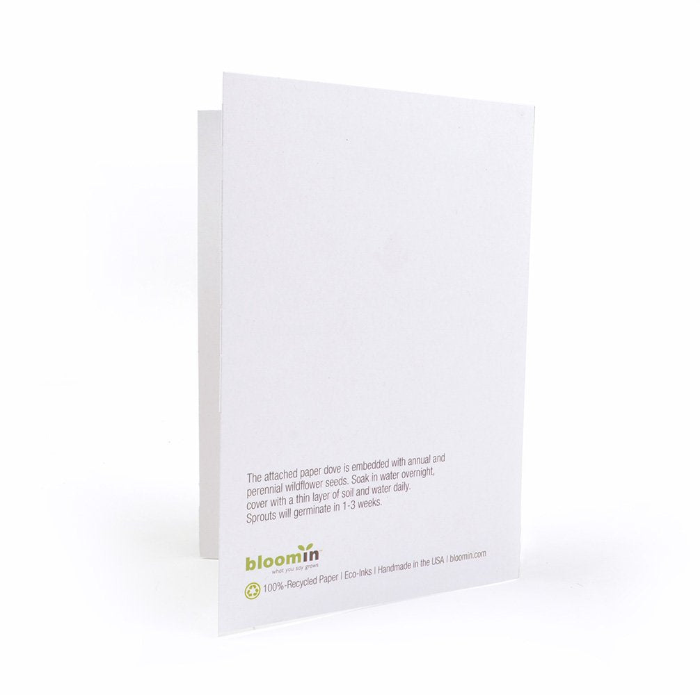 White seed packet with text and 'bloomin' branding on a white background