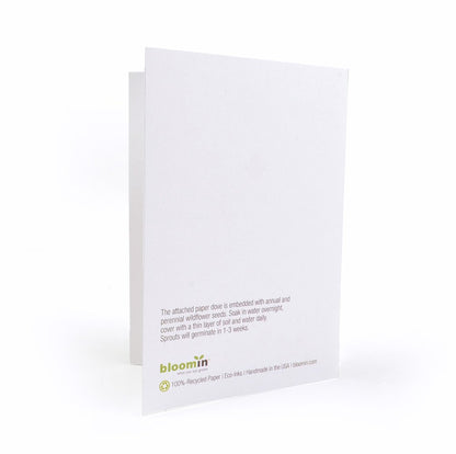 White seed packet with text and 'bloomin' branding on a white background