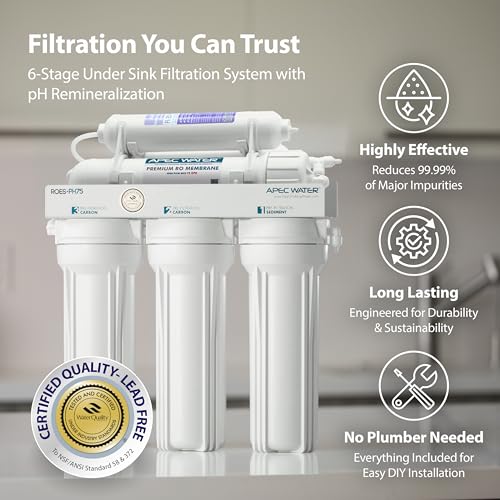 APEC water filtration system with features highlighted on a neutral background