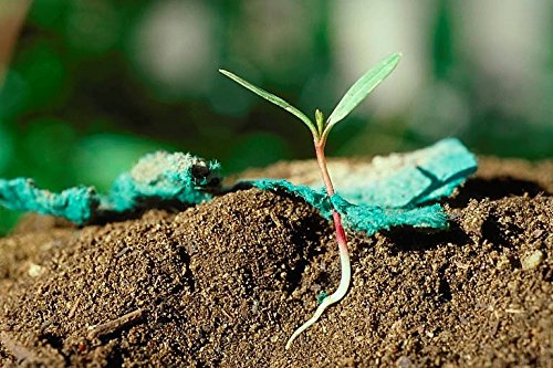 Young plant emerging from soil with green fabric, against a blurred green background