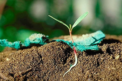 Young plant emerging from soil with green fabric, against a blurred green background