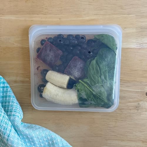Reusable Silicone Food Storage Bags, Rainbow 4-Pack – Stasher