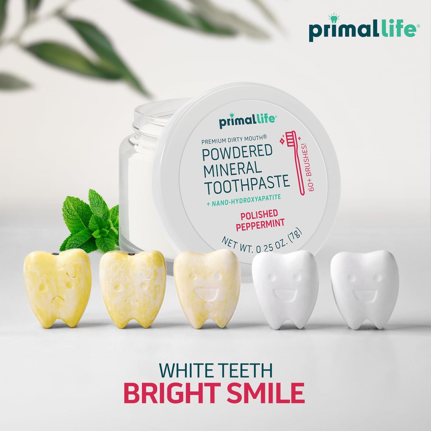 Fluoride-Free Remineralizing Tooth Powder, Bubblegum – Primal Life Organics