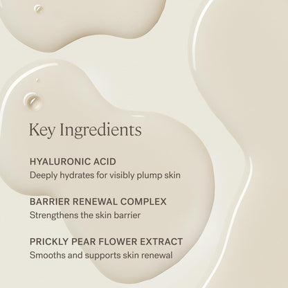 Phthalate-Free Vegan Essence-Moisturizer (Face Milk) – ILIA The Base Face Milk