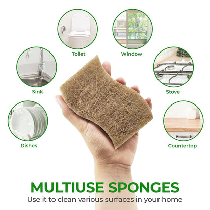 Microplastic-Free Kitchen: Airnex Biodegradable Natural Sponges Non-Toxic