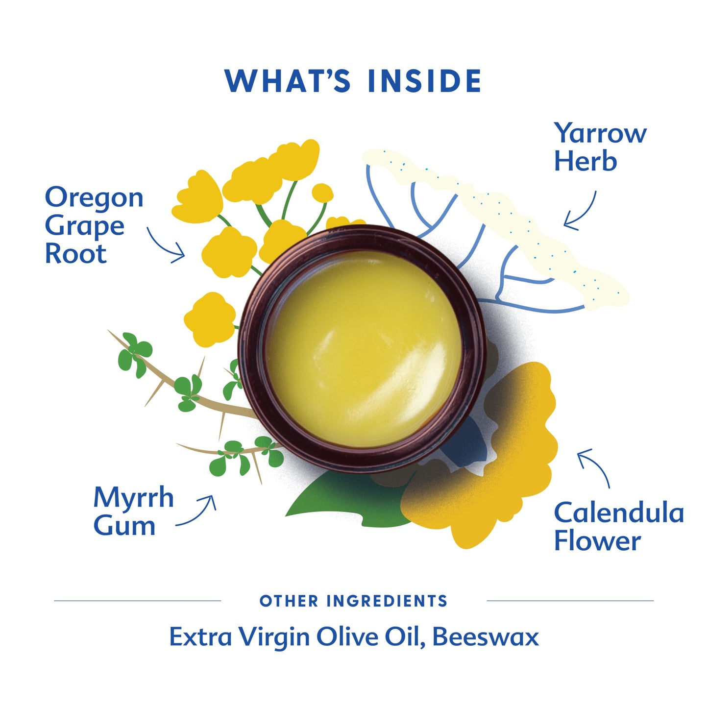 Motherlove Organic Diaper Balm: Herbal Petroleum-Free Relief