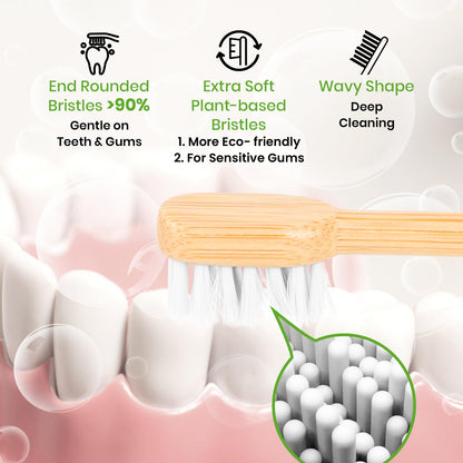 Bamboo toothbrush with features highlighted on a dental background