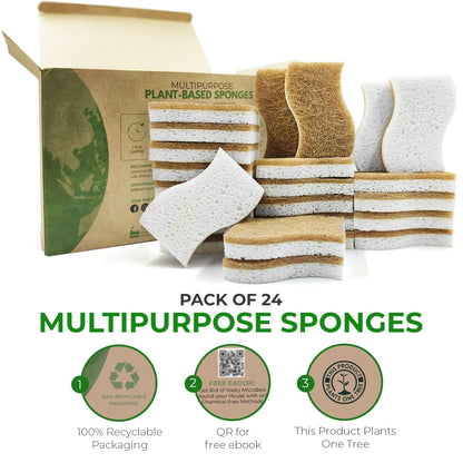Microplastic-Free Kitchen: Airnex Biodegradable Natural Sponges Non-Toxic