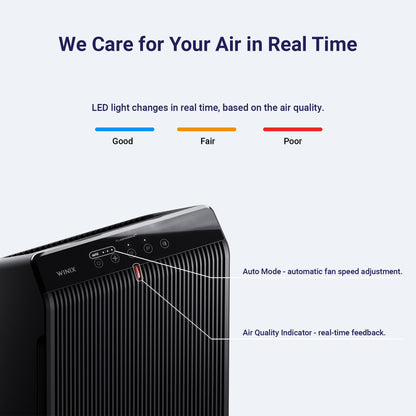 HEPA Air Purifier for Small Rooms – WINIX 5520 (Wi-Fi, True HEPA)