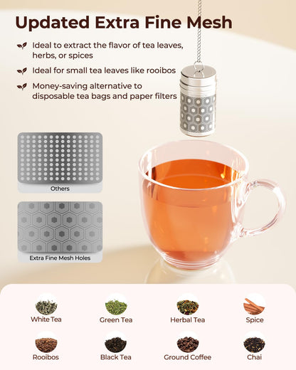 Microplastic-Free 304 Stainless Steel Tea & Spice Infuser – Reinmoson