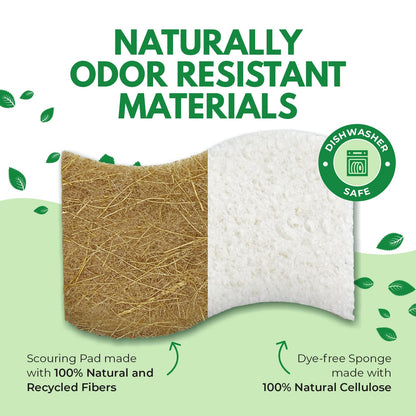 Microplastic-Free Kitchen: Airnex Biodegradable Natural Sponges Non-Toxic