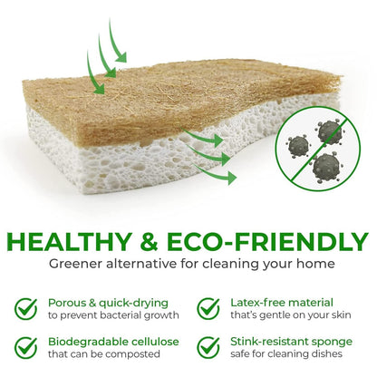 Microplastic-Free Kitchen: Airnex Biodegradable Natural Sponges Non-Toxic