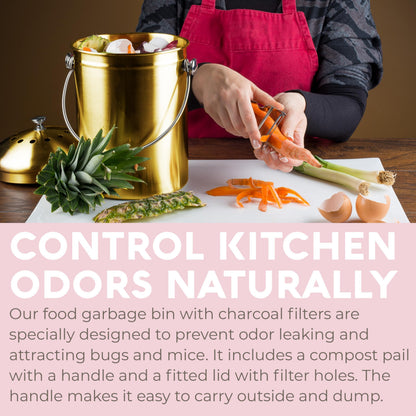 Microplastic-Free Kitchen: Epica Stainless Steel Compost Bin Non-Toxic