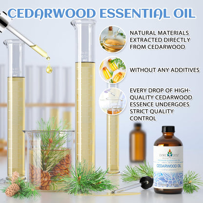 EVOKE OCCU 100% Pure Clary Sage Essential Oil: 4oz Value Size