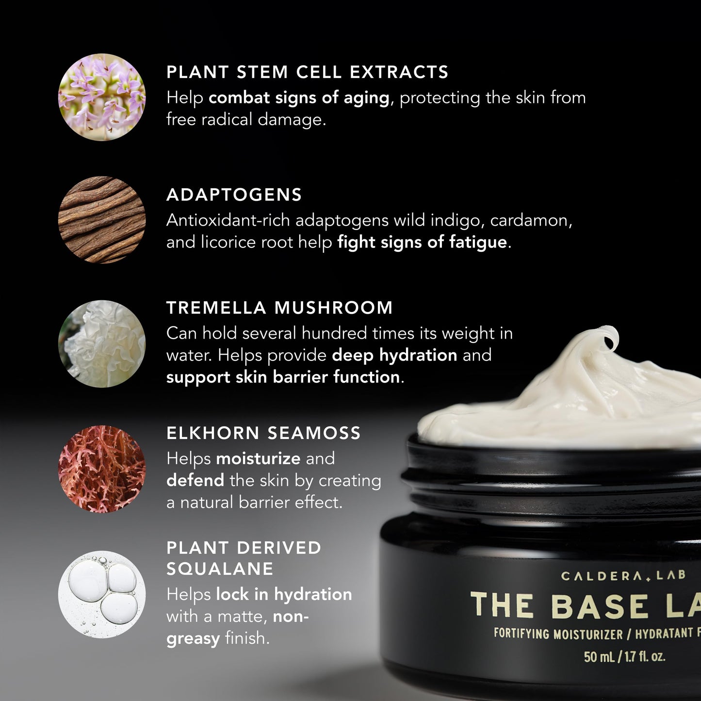 MADE SAFE Certified Vegan Face Moisturizer – Caldera + Lab The Base Layer