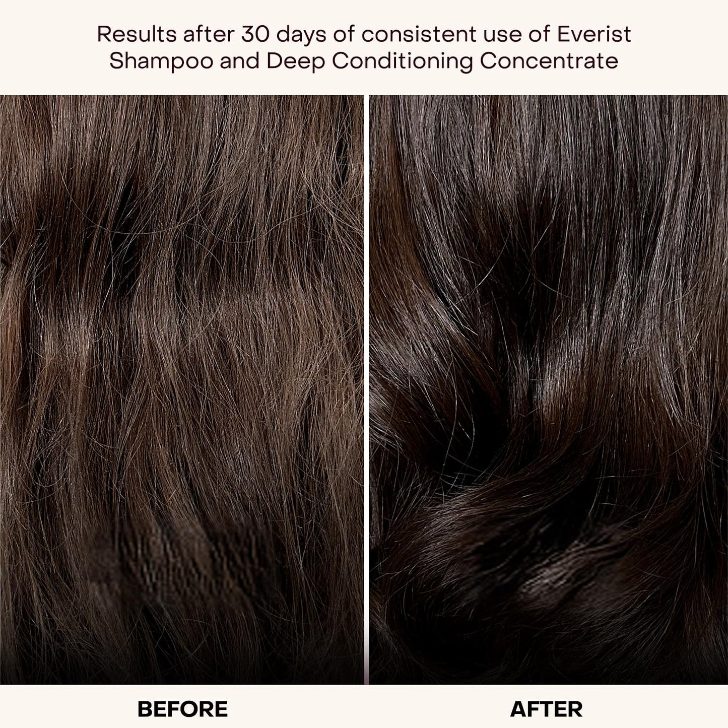 Plastic-Free Waterless Fragrance-Free Shampoo Concentrate, Vegan – Everist
