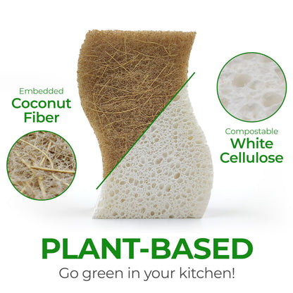 Microplastic-Free Kitchen: Airnex Biodegradable Natural Sponges Non-Toxic