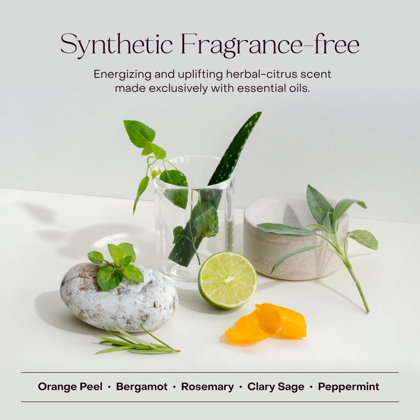 Plastic-Free Waterless Fragrance-Free Shampoo Concentrate, Vegan – Everist