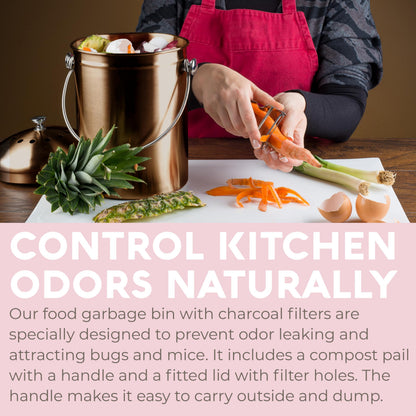 Microplastic-Free Kitchen: Epica Stainless Steel Compost Bin Non-Toxic