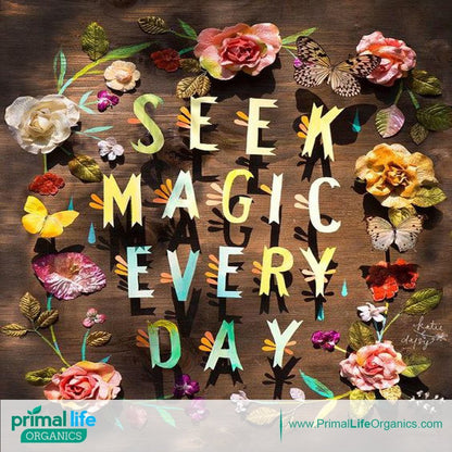 Fluoride-Free Remineralizing Tooth Powder, Bubblegum – Primal Life Organics