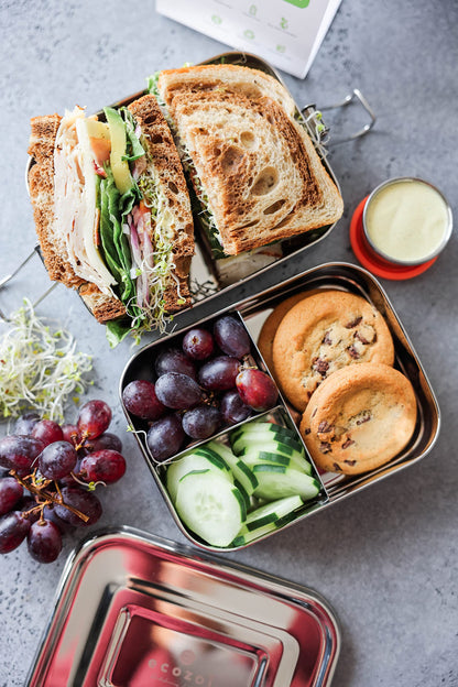 Plastic-Free Stainless Steel Bento Lunch Box, 2-Tier – Ecozoi