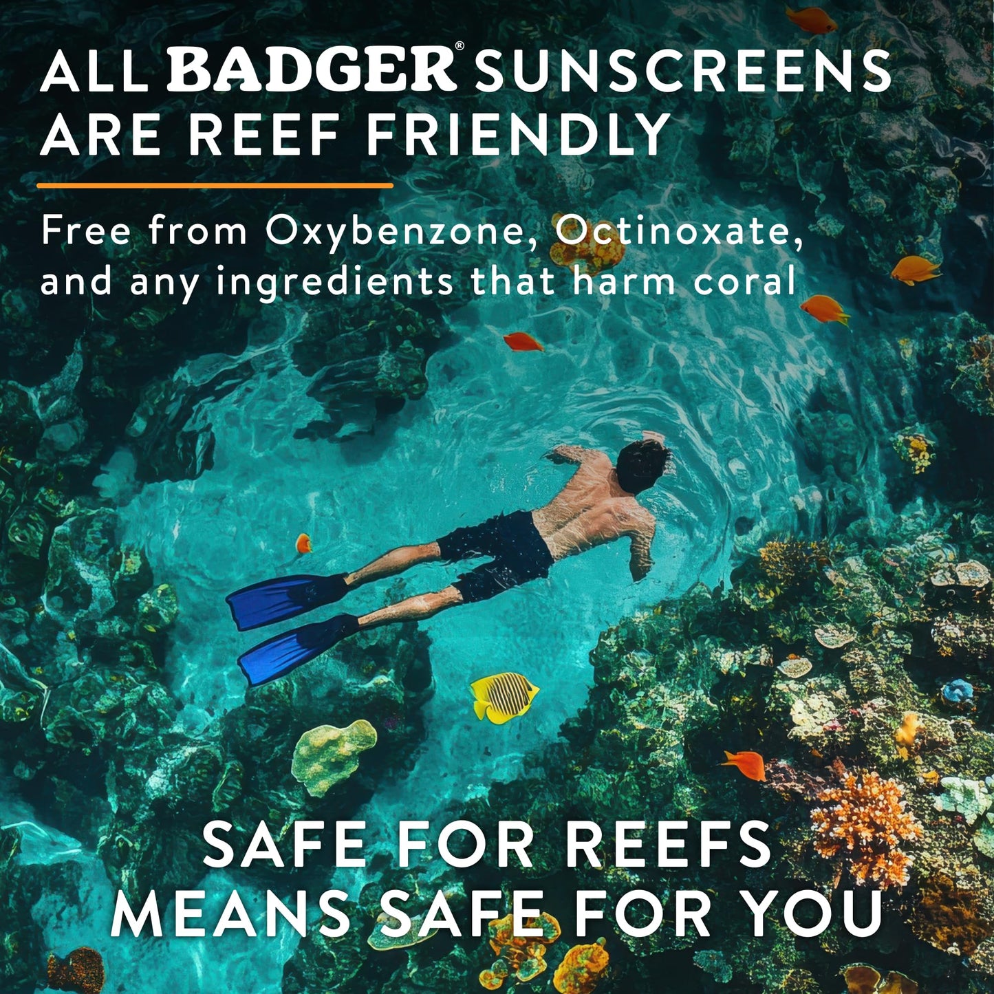 NSF Certified Organic Mineral Sunscreen SPF 50, 4-Ingredient Reef Safe – Badger
