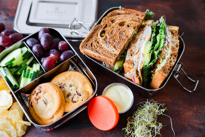 Plastic-Free Stainless Steel Bento Lunch Box, 2-Tier – Ecozoi
