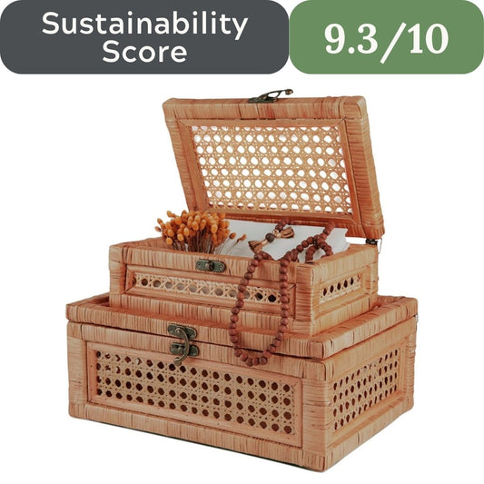 CASALLURA Handcrafted Rattan Storage Box Set with Hinged Lids
